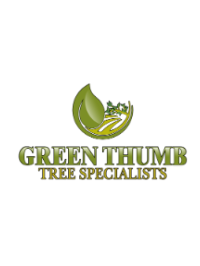 Green Thumb Tree Specialists Inc.